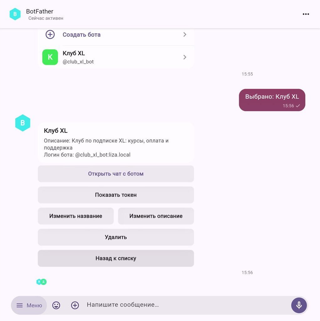 Карточка бота: открыть чат, показать токен, переименовать